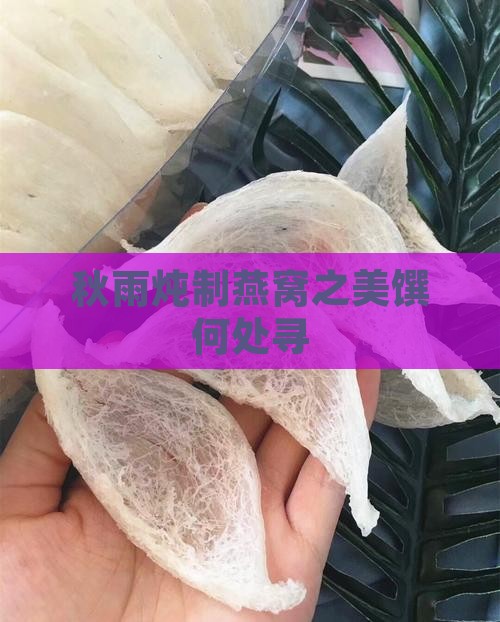 秋雨炖制燕窝之美馔何处寻