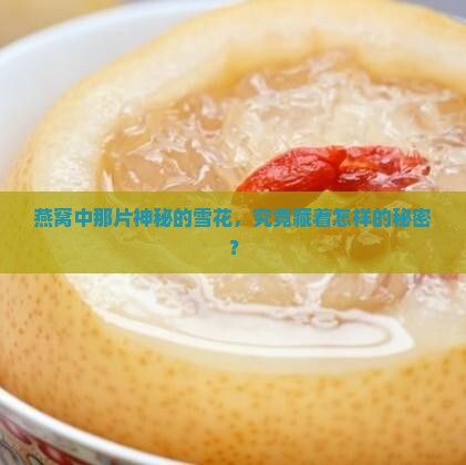 燕窝中那片神秘的雪花，究竟藏着怎样的秘密？