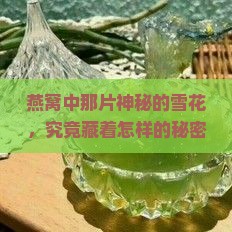 燕窝中那片神秘的雪花，究竟藏着怎样的秘密？