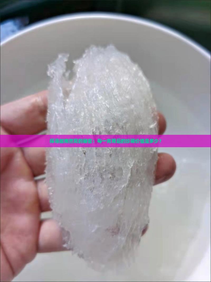探寻越南燕窝的秘密：每一克背后的珍稀价值是多少？