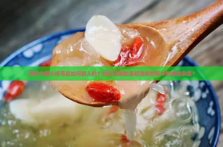 燕窝中细小绒毛是如何嵌入的？如何正确处理和清除燕窝中的细微杂质？