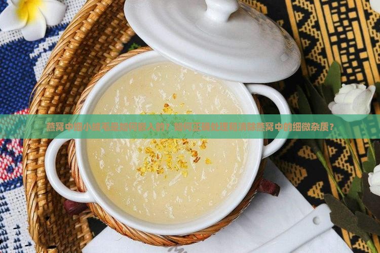 燕窝中细小绒毛是如何嵌入的？如何正确处理和清除燕窝中的细微杂质？