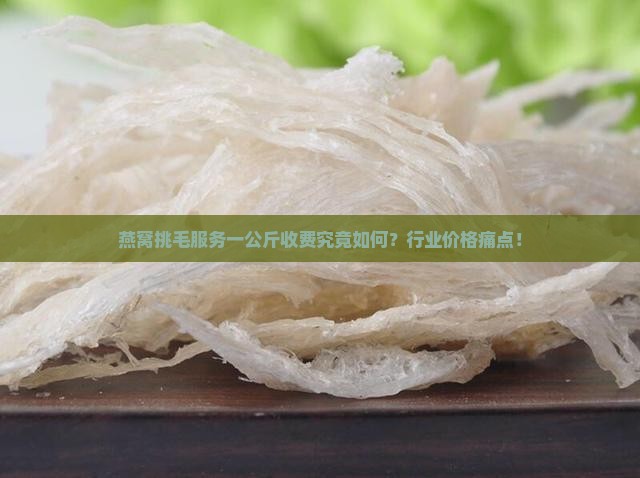 燕窝挑毛服务一公斤收费究竟如何？行业价格痛点！