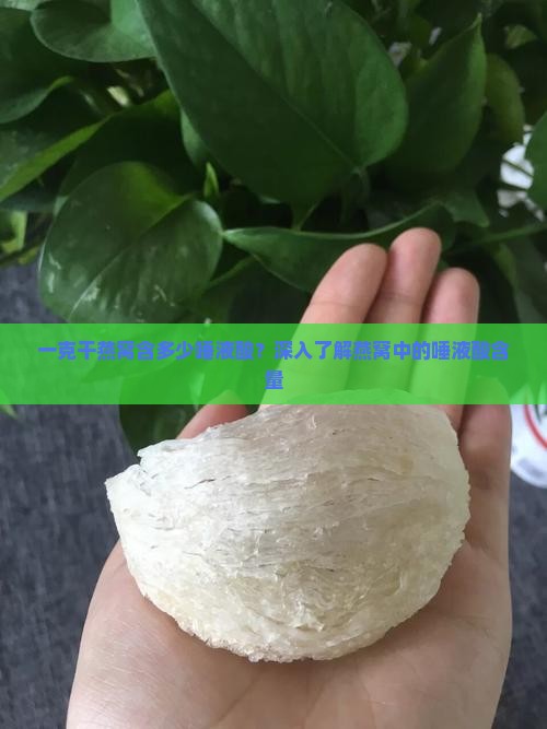 一克干燕窝含多少唾液酸？深入了解燕窝中的唾液酸含量