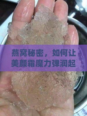 燕窝秘密，如何让美颜霜魔力弹润起来？