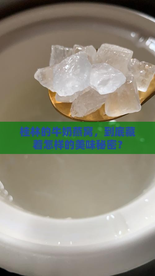 桂林的牛奶燕窝，到底藏着怎样的美味秘密？