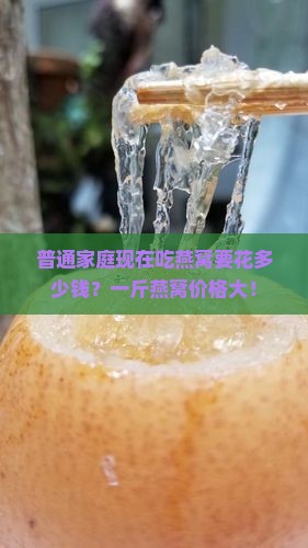 普通家庭现在吃燕窝要花多少钱？一斤燕窝价格大！