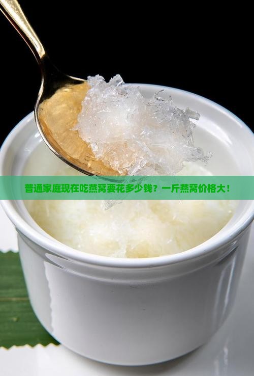 普通家庭现在吃燕窝要花多少钱？一斤燕窝价格大！