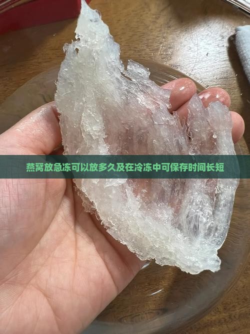 燕窝放急冻可以放多久及在冷冻中可保存时间长短