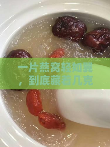 一片燕窝轻如翼，到底藏着几克秘密？