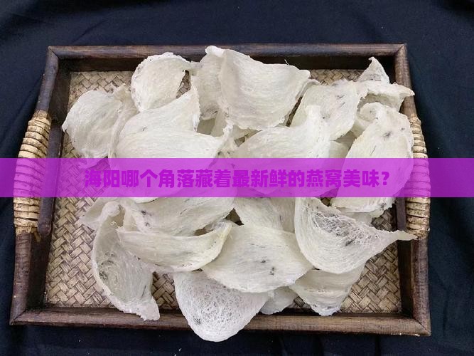 海阳哪个角落藏着最新鲜的燕窝美味？