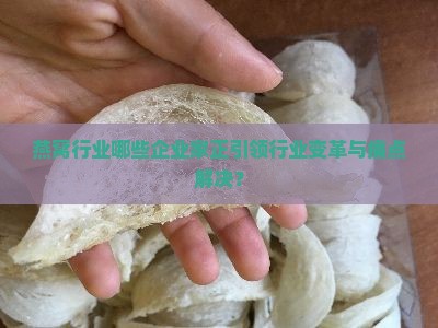 燕窝行业哪些企业家正引领行业变革与痛点解决？