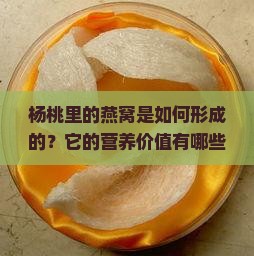杨桃里的燕窝是如何形成的？它的营养价值有哪些？如何正确食用与保存？