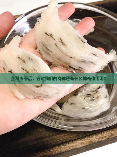 燕窝冻干后，它对我们的身体还有什么神奇作用呢？