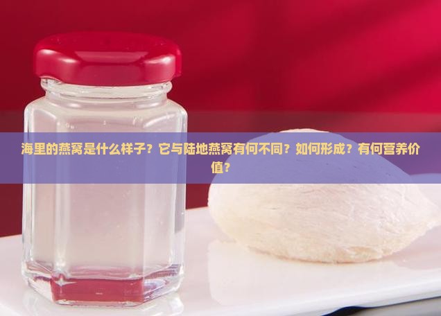 海里的燕窝是什么样子？它与陆地燕窝有何不同？如何形成？有何营养价值？