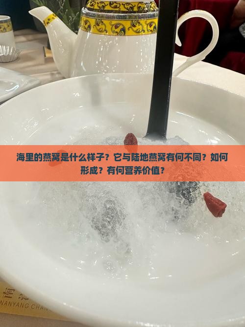 海里的燕窝是什么样子？它与陆地燕窝有何不同？如何形成？有何营养价值？