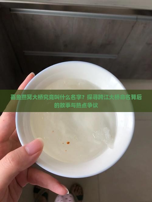 嘉鱼燕窝大桥究竟叫什么名字？探寻跨江大桥命名背后的故事与热点争议