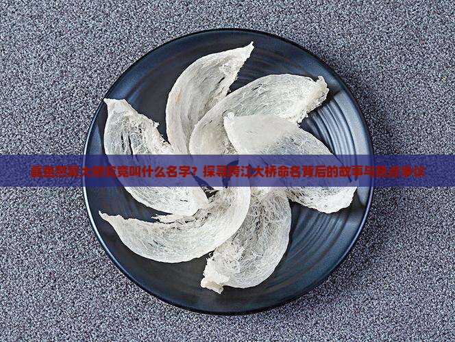 嘉鱼燕窝大桥究竟叫什么名字？探寻跨江大桥命名背后的故事与热点争议