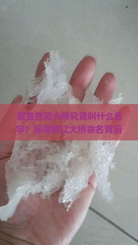 嘉鱼燕窝大桥究竟叫什么名字？探寻跨江大桥命名背后的故事与热点争议