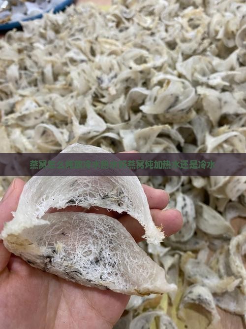 燕窝怎么炖放冷水热水好燕窝炖加热水还是冷水