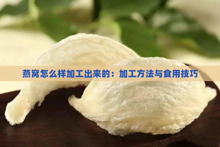 燕窝怎么样加工出来的：加工方法与食用技巧