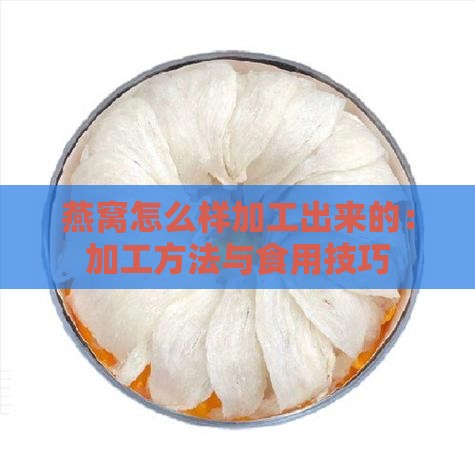 燕窝怎么样加工出来的：加工方法与食用技巧