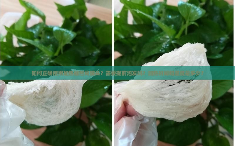 如何正确使用加热器燕窝罐头？需要提前泡发吗？加热时间和温度是多少？