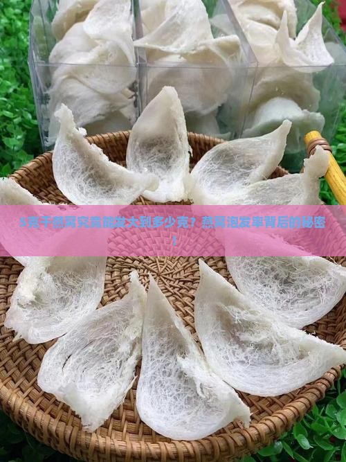 5克干燕窝究竟能发大到多少克？燕窝泡发率背后的秘密！