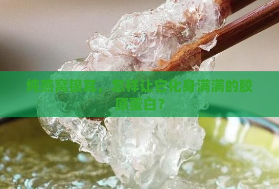 炖燕窝银耳，怎样让它化身满满的胶原蛋白？
