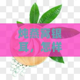 炖燕窝银耳，怎样让它化身满满的胶原蛋白？