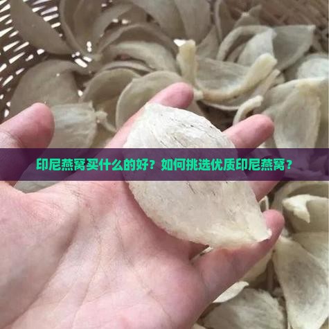 印尼燕窝买什么的好？如何挑选优质印尼燕窝？