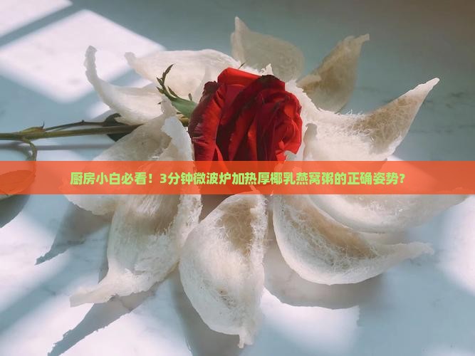 厨房小白必看!3分钟微波炉加热厚椰乳燕窝粥的正确姿势? 厨房小白必看!3分钟微波炉加热厚椰乳燕窝粥的正确姿势?