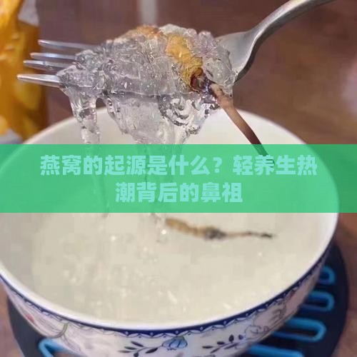 燕窝的起源是什么？轻养生热潮背后的鼻祖