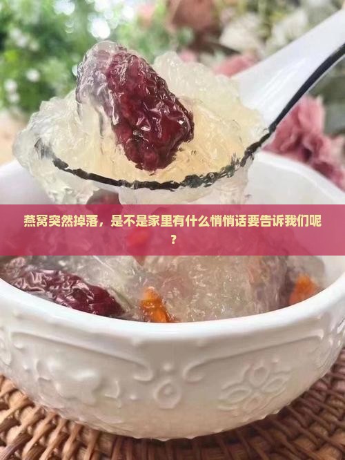 燕窝突然掉落，是不是家里有什么悄悄话要告诉我们呢？