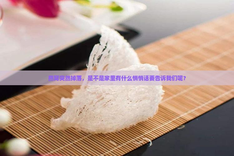 燕窝突然掉落，是不是家里有什么悄悄话要告诉我们呢？