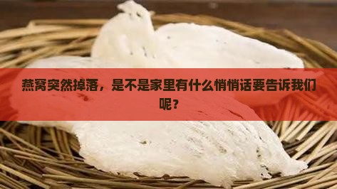燕窝突然掉落，是不是家里有什么悄悄话要告诉我们呢？
