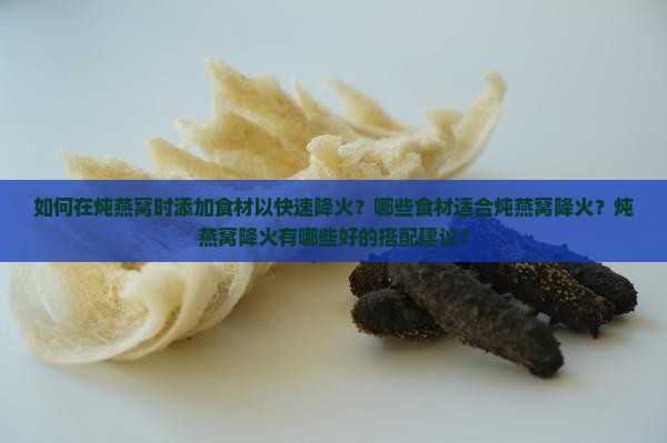 如何在炖燕窝时添加食材以快速降火？哪些食材适合炖燕窝降火？炖燕窝降火有哪些好的搭配建议？