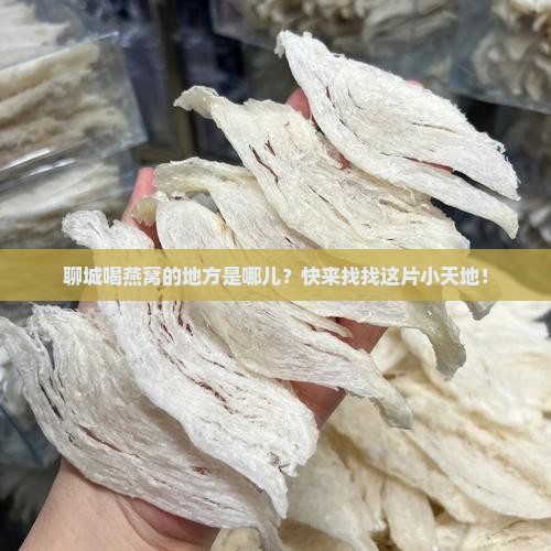 聊城喝燕窝的地方是哪儿？快来找找这片小天地！