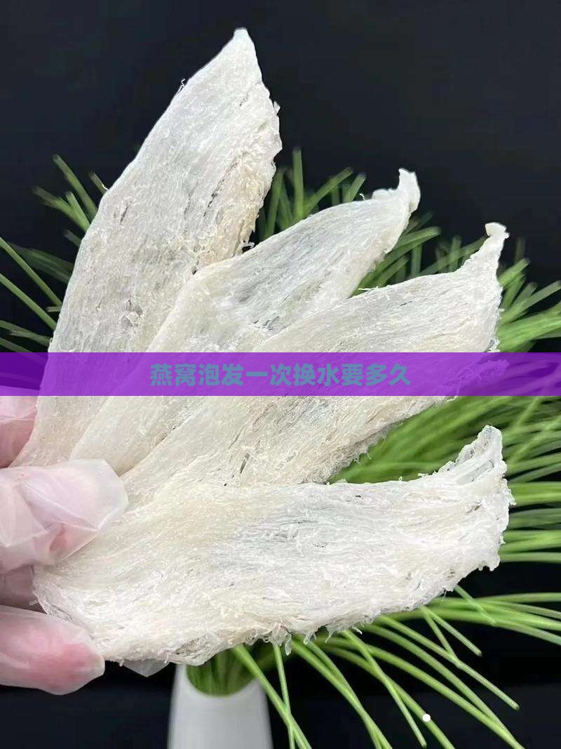 燕窝泡发一次换水要多久