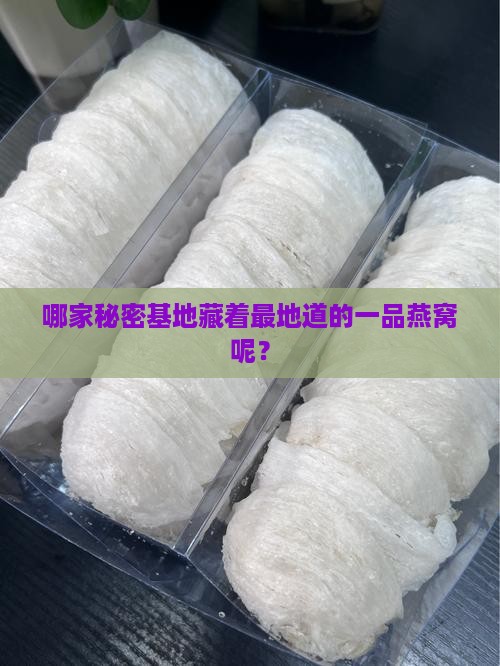 哪家秘密基地藏着最地道的一品燕窝呢？