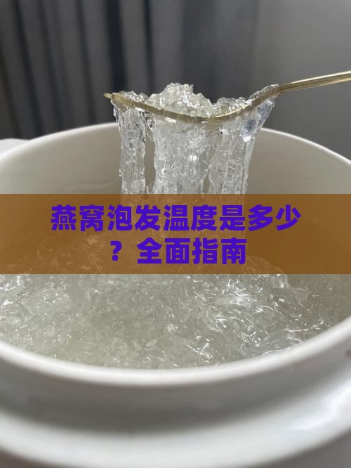 燕窝泡发温度是多少？全面指南