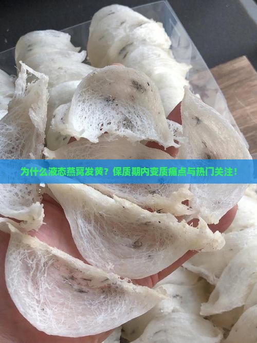 为什么液态燕窝发黄？保质期内变质痛点与热门关注！