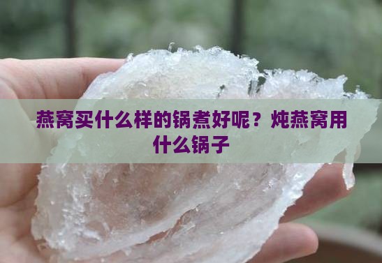 燕窝买什么样的锅煮好呢？炖燕窝用什么锅子