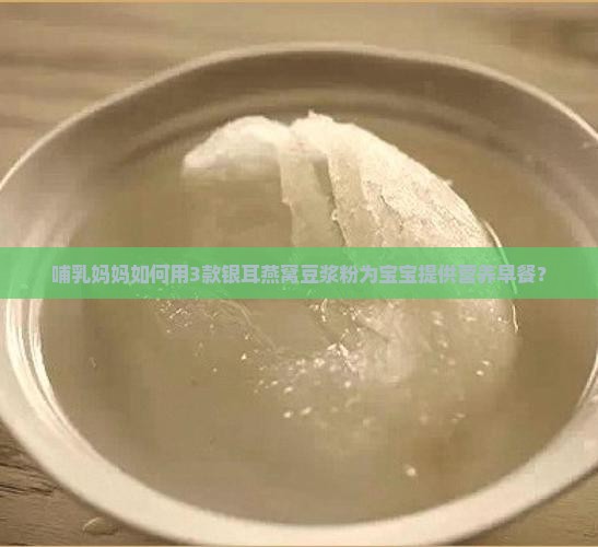 哺乳妈妈如何用3款银耳燕窝豆浆粉为宝宝提供营养早餐？