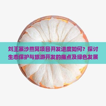 刘王寨沙燕窝项目开发进度如何？探讨生态保护与旅游开发的痛点及绿色发展趋势