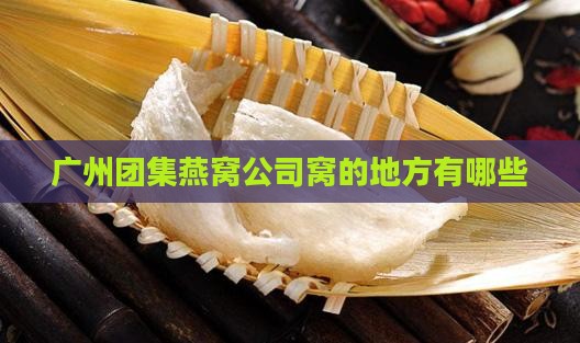 广州团集燕窝公司窝的地方有哪些