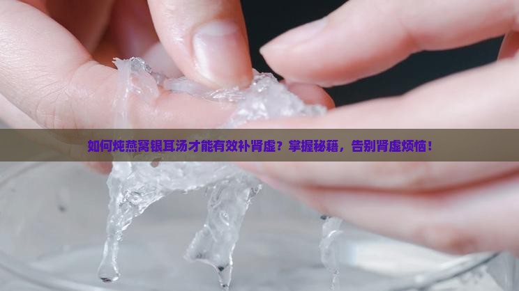 如何炖燕窝银耳汤才能有效补肾虚？掌握秘籍，告别肾虚烦恼！