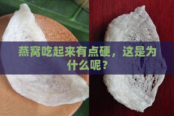 燕窝吃起来有点硬，这是为什么呢？