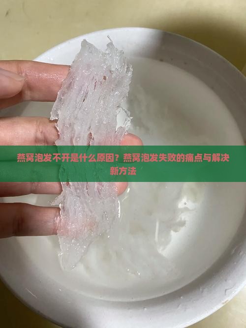 燕窝泡发不开是什么原因？燕窝泡发失败的痛点与解决新方法