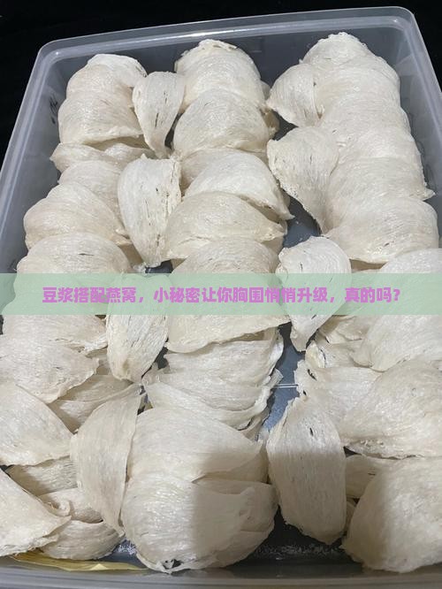豆浆搭配燕窝，小秘密让你胸围悄悄升级，真的吗？